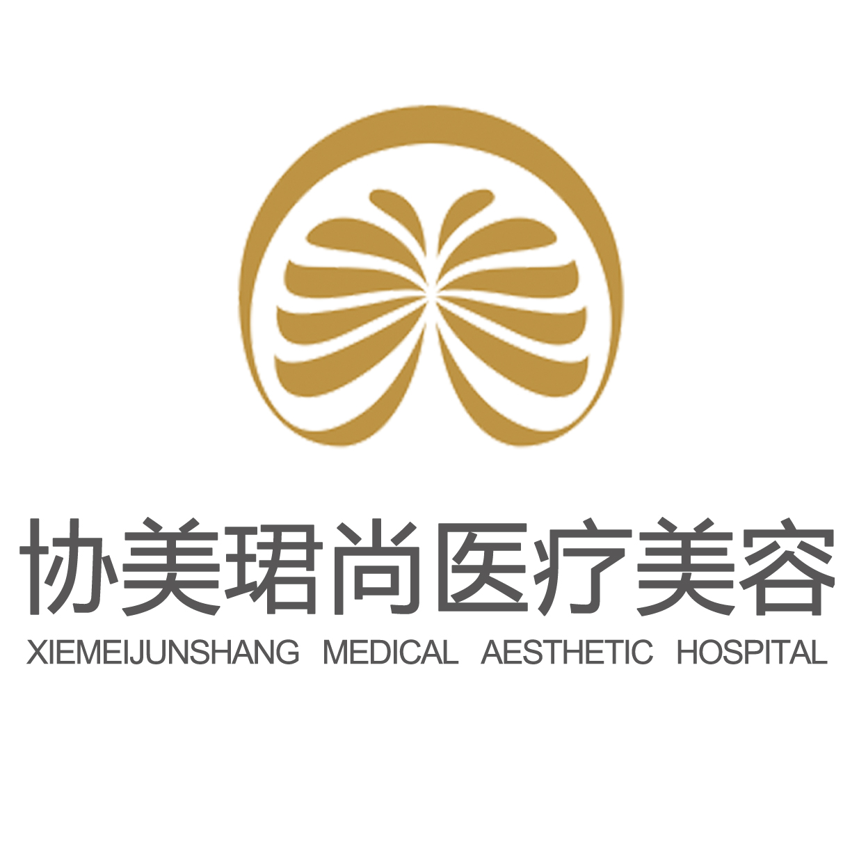 东莞莞城协美珺尚医疗美容门诊部有限公司 东莞莞城协美珺尚医疗美容门诊部有限公司