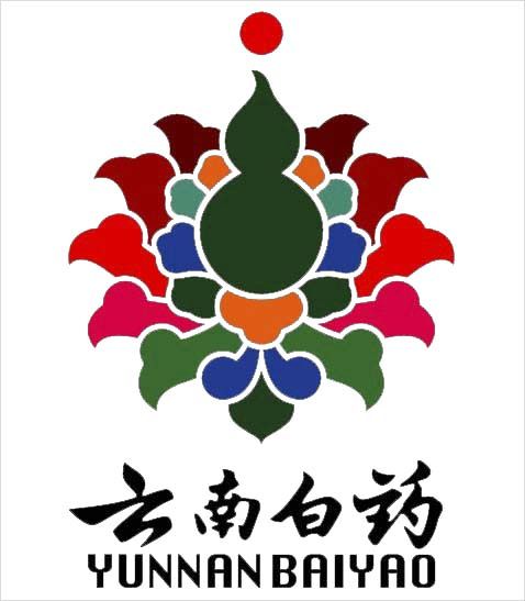 云南白药集团医药电子商务有限公司 云南白药集团医药电子商务有限公司